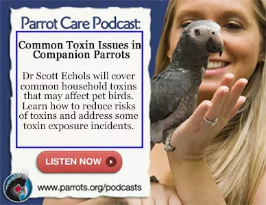 world parrot trust toxins small